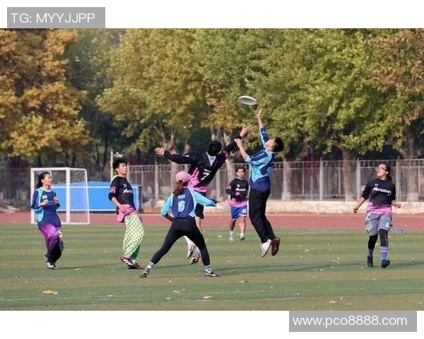 飞盘战术揭秘：广州飞盘队如何运用包夹策略制胜赛场