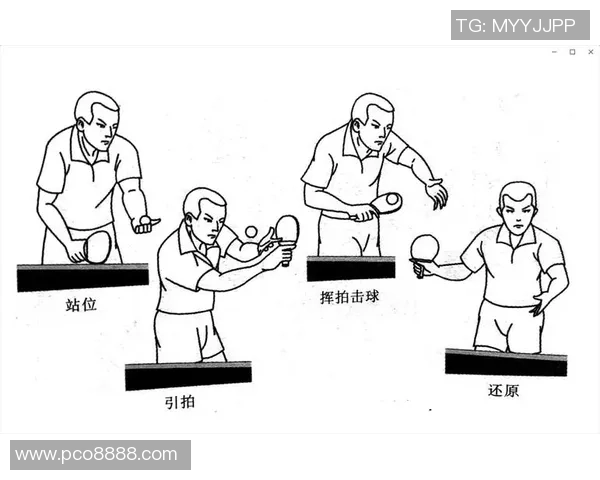 杭州乒乓球队配合表现的数据分析与战术探讨